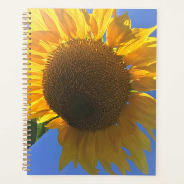 Agenda Bajo un girasol (Anverso)
