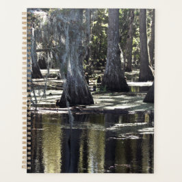 Agenda Bald Cypress