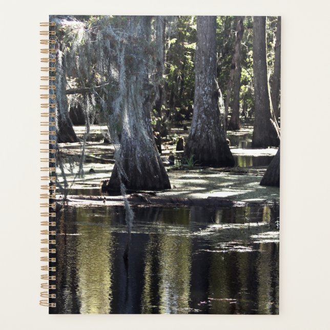 Agenda Bald Cypress (Anverso)