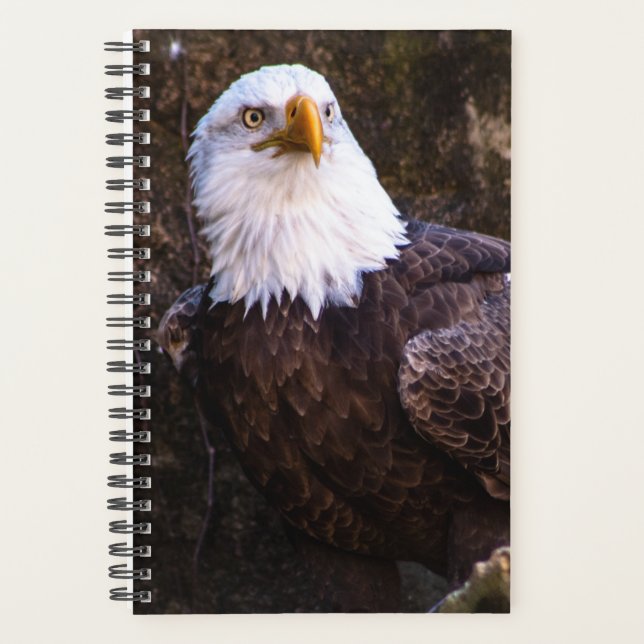 Agenda Bald Eagle Planner (Anverso)