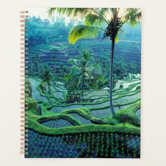 Agenda Bali | Descripción general de las terrazas de arro (Anverso)