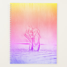 Agenda Ballet arco iris zapatillas en Pointe