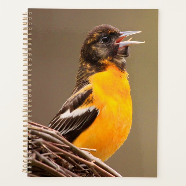 Agenda Baltimore Oriole  (Anverso)