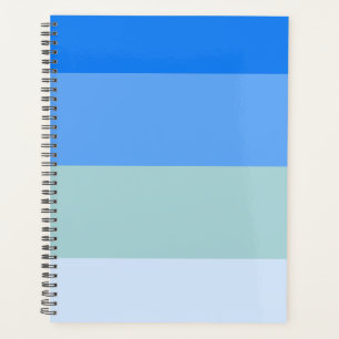 Agenda Bandas azules