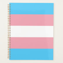 Bandera de orgullo transgénero moderna