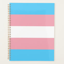 Agenda Bandera de orgullo transgénero moderna