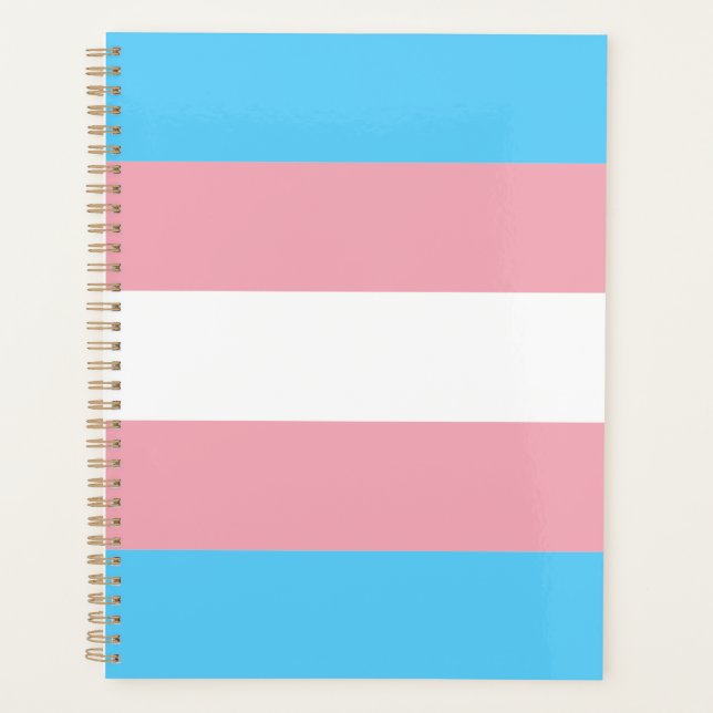 Agenda Bandera de orgullo transgénero moderna (Anverso)