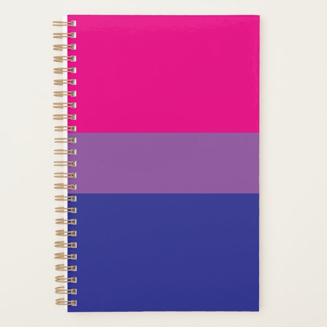 Agenda Bandera del Orgullo Bisexual (Anverso)