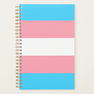 Agenda Bandera transgénero