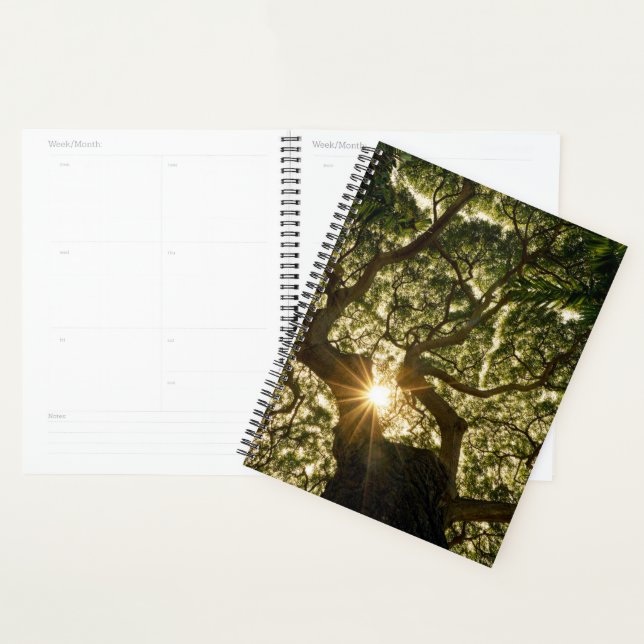 Agenda Banyan Tree Canopy Sunstar (Demostración)