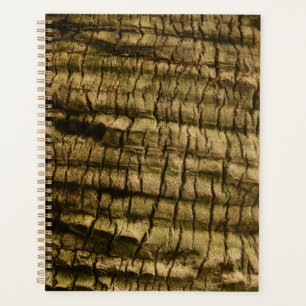 Agenda Barrera de árbol de palmas