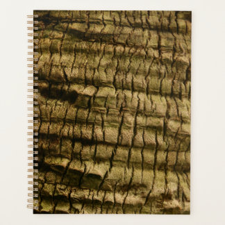 Agenda Barrera de árbol de palmas