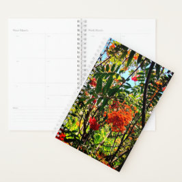 Agenda Bayas amarillas y rojas