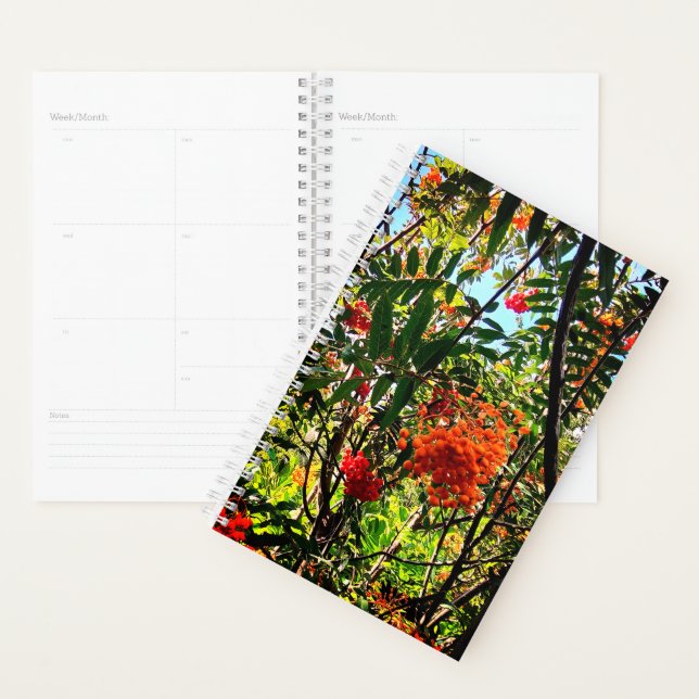 Agenda Bayas amarillas y rojas (Demostración)