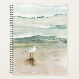 Agenda Beach Seagull Cove