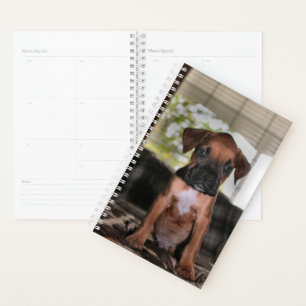 Agenda Beber Boxer