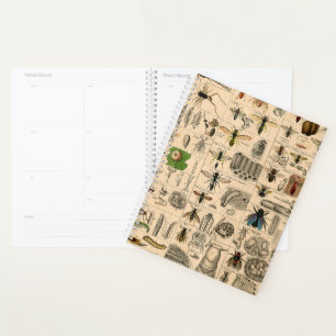 Agenda Bee Insect Bug Wasp Naturaleza Abejas Pintura