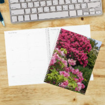 Bellas Floraciones de Rhododendron Rosa