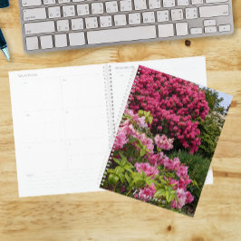 Agenda Bellas Floraciones de Rhododendron Rosa