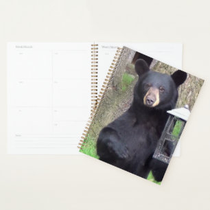 Agenda Bello oso negro