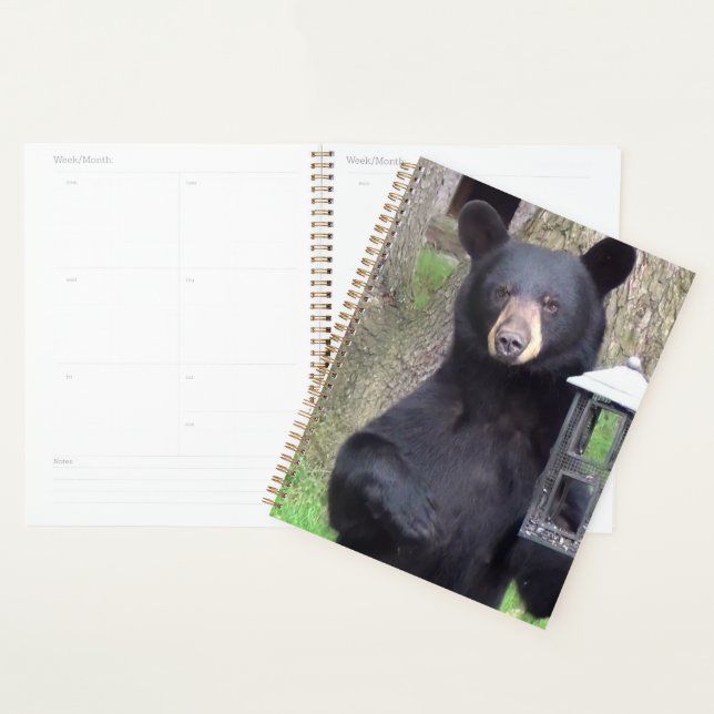 Agenda Bello oso negro (Demostración)