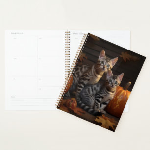 Agenda Bengal Kitten Calabaza deslumbrante otoño