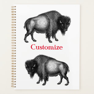 Agenda Big Bison Buffalo Thunder_Cove