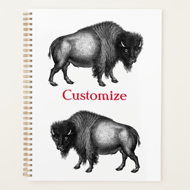Agenda Big Bison Buffalo Thunder_Cove (Anverso)
