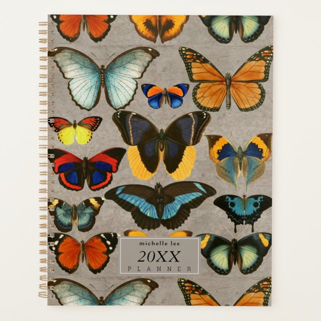 Agenda Biología colorante de entomología de mariposas vin (Anverso)