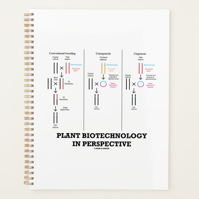 Agenda Biotecnología vegetal en perspectiva (Transgénesis (Anverso)