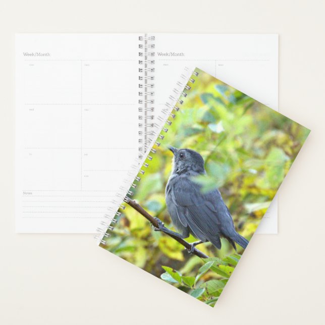 Agenda Bird Photo Planner (Demostración)