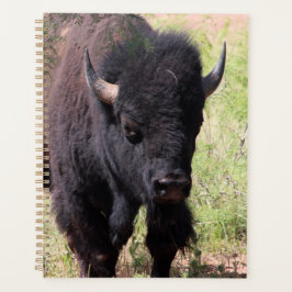 Agenda Bison Close