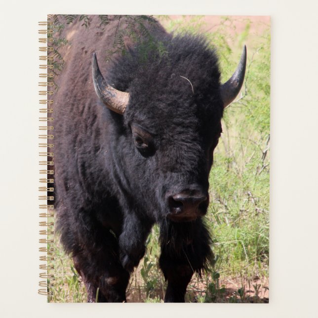 Agenda Bison Close (Anverso)