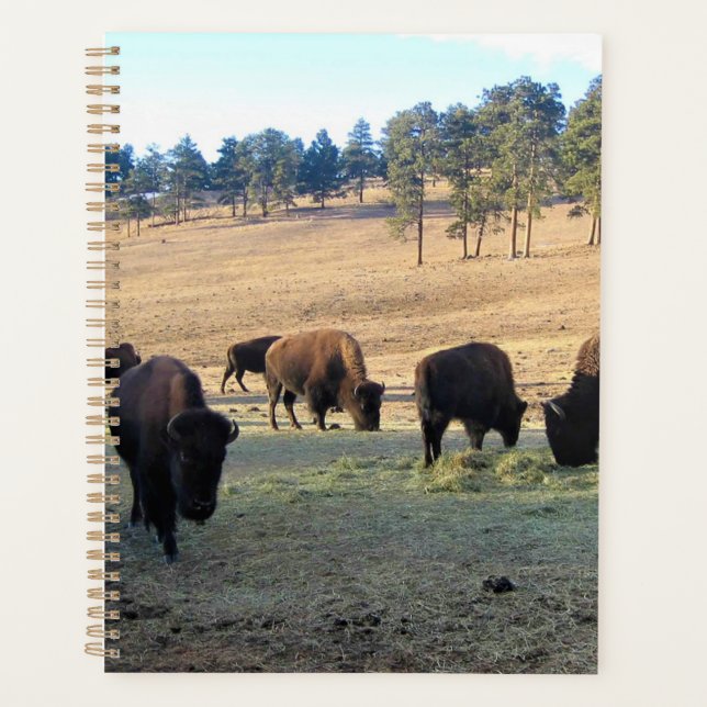 Agenda Bison de Colorado (Anverso)