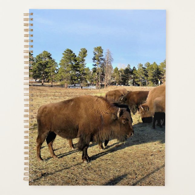 Agenda Bison de Colorado (Anverso)