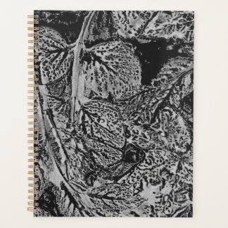 Agenda Black leafs