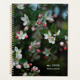 Agenda Blooming apple tree