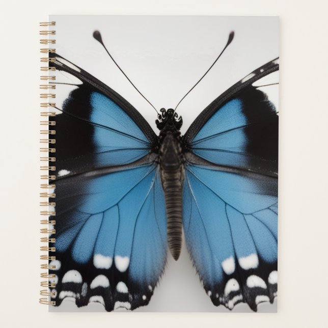 Agenda Blue butterfly planner (Anverso)