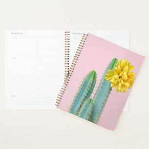 Agenda Blue Cactus Trio