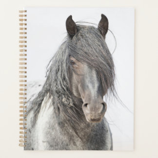 Agenda Blue Zeus Planner