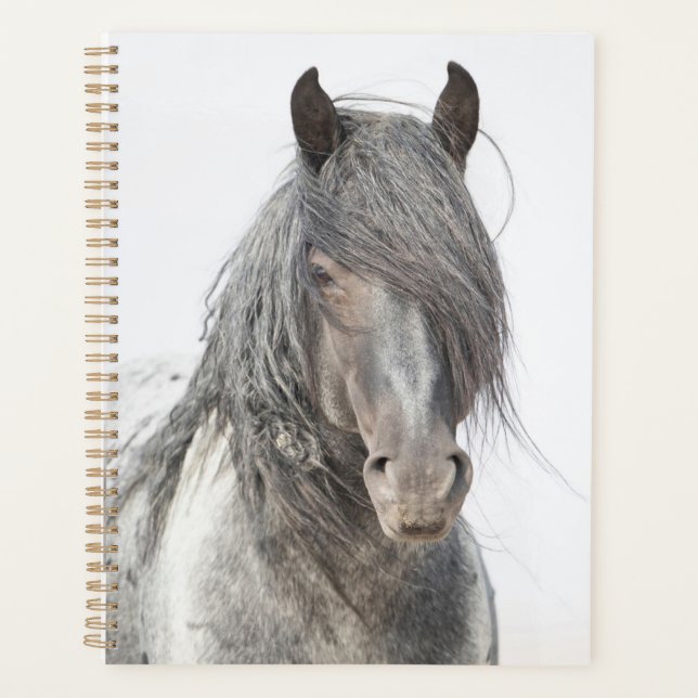 Agenda Blue Zeus Planner (Anverso)