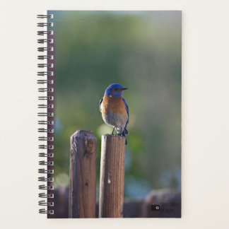 Agenda Bluebird Planner