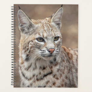 Agenda Bobcat 2024 en Nueva Jersey