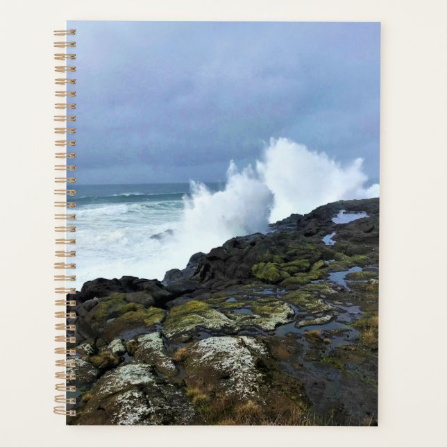 Agenda Boiler Bay State Wayside, Depoe Bay, Oregon (Anverso)