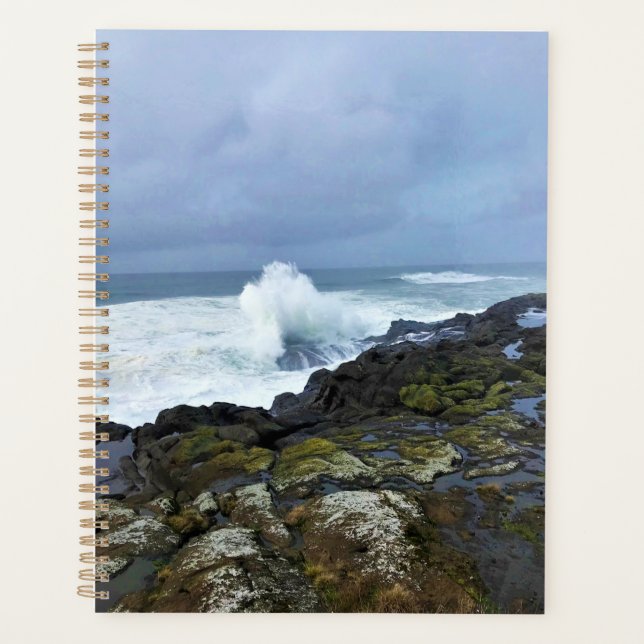 Agenda Boiler Bay State Wayside, Depoe Bay, Oregon (Anverso)