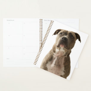 Agenda Bolsa de regalo de Bulldog de hoyo