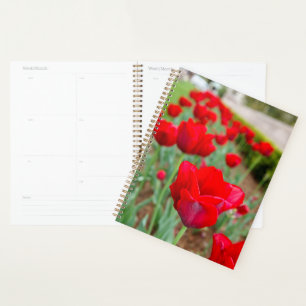 Agenda Bombillas de alto nivel, cierre