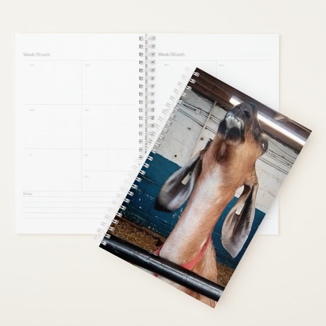 Agenda Bonito (Demostración)