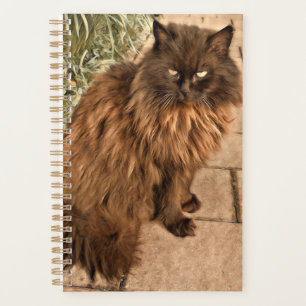 Agenda Bonito gato