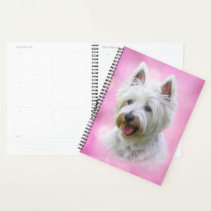 Agenda Bonito yorqui blanco